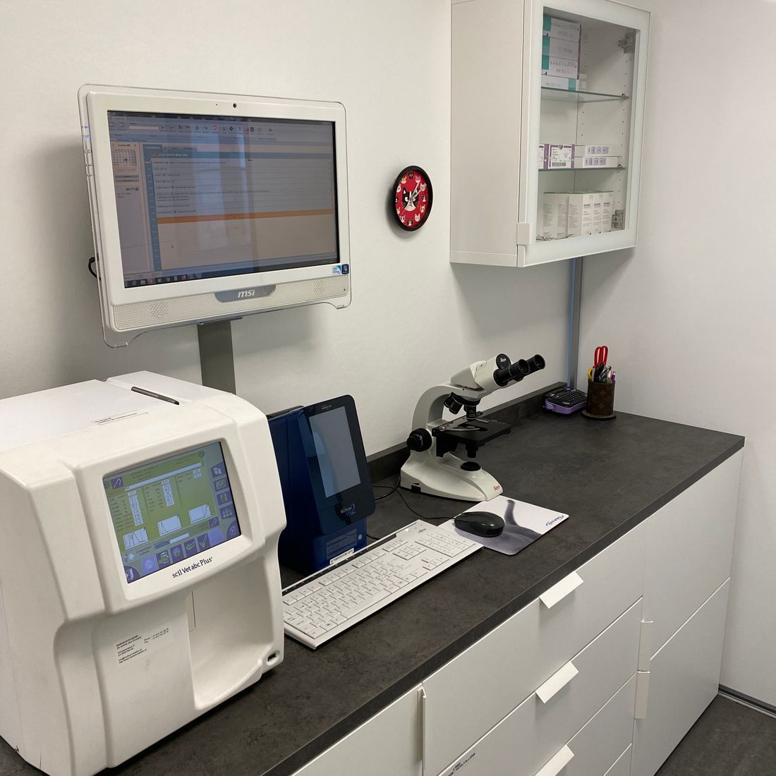 Cabinet vétérinaire du Sorby|Morges