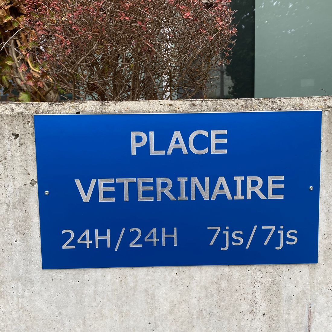 Cabinet vétérinaire du Sorby|Morges