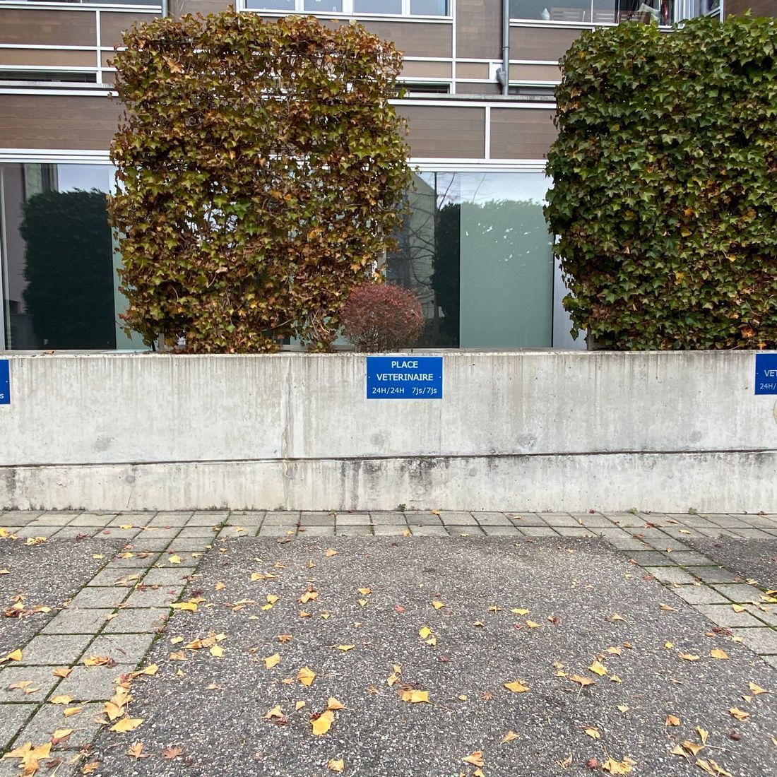 Cabinet vétérinaire du Sorby|Morges