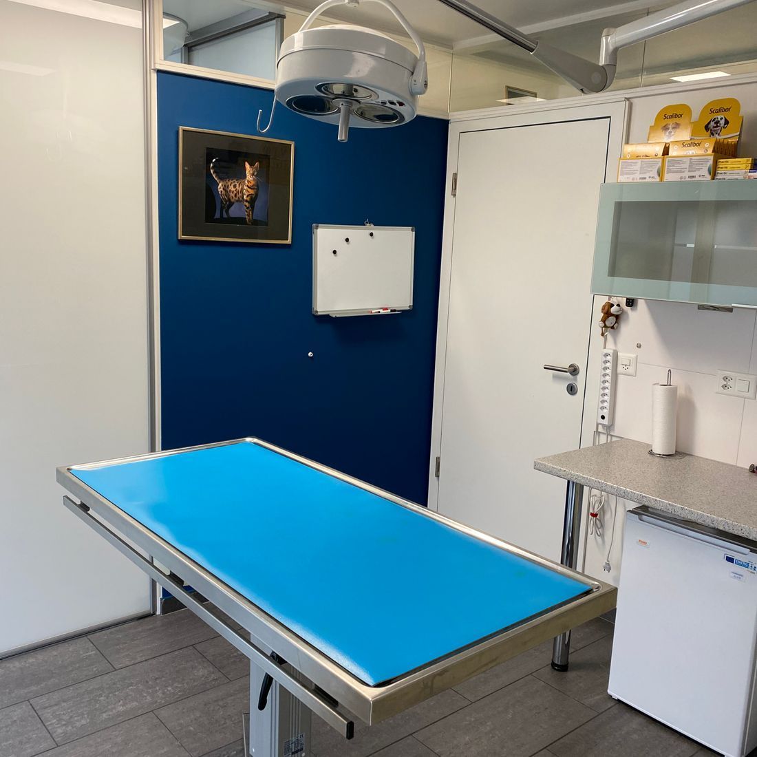 Cabinet vétérinaire du Sorby|Morges