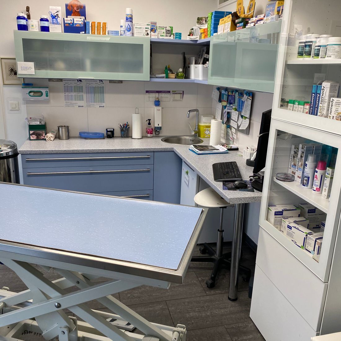 Cabinet vétérinaire du Sorby|Morges