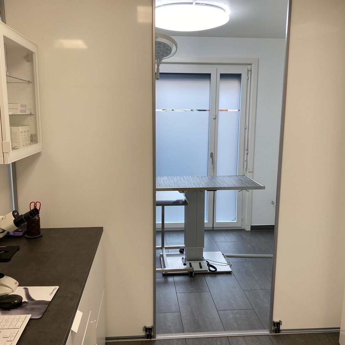 Cabinet vétérinaire du Sorby|Morges