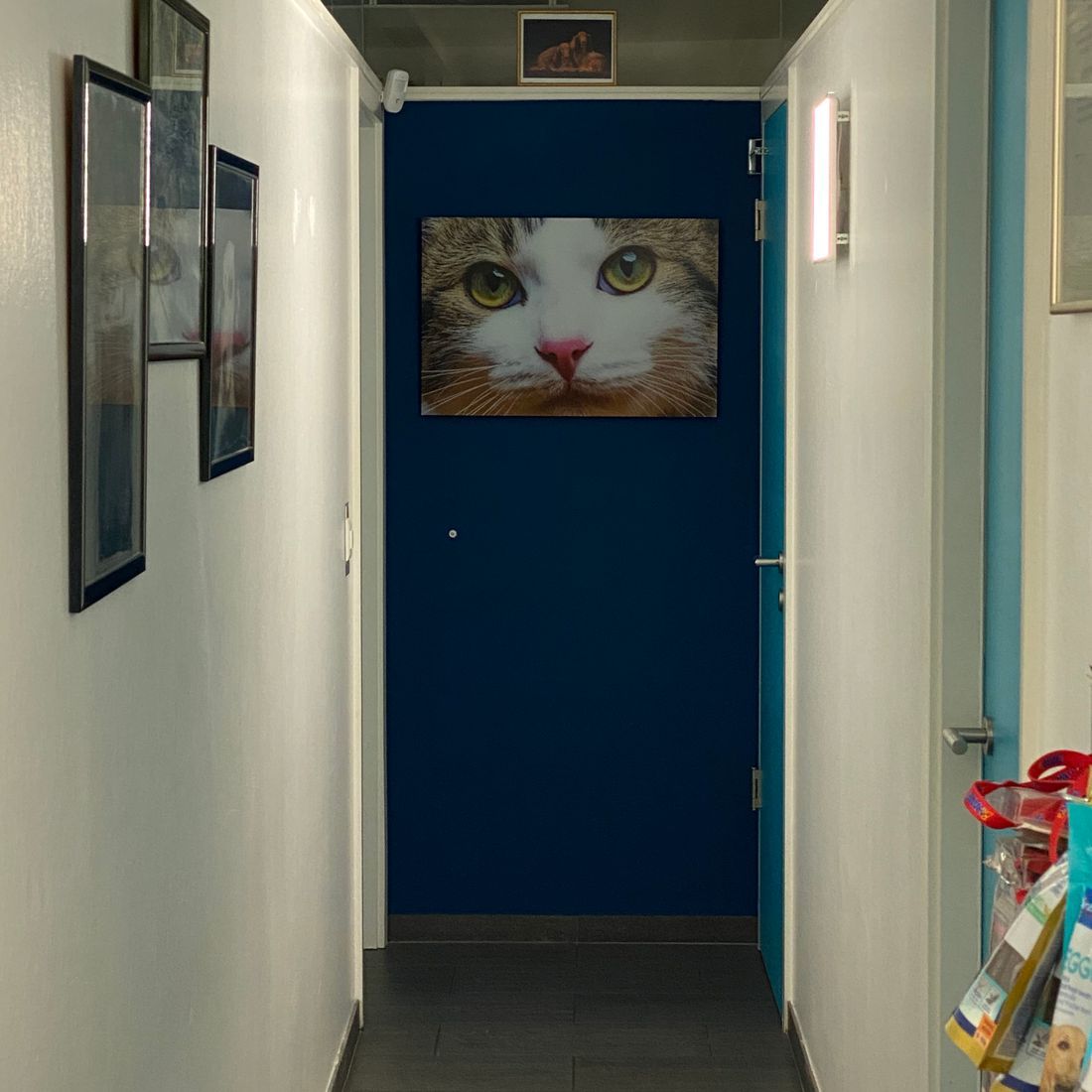 Cabinet vétérinaire du Sorby|Morges