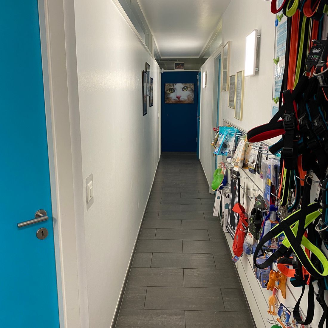 Cabinet vétérinaire du Sorby|Morges