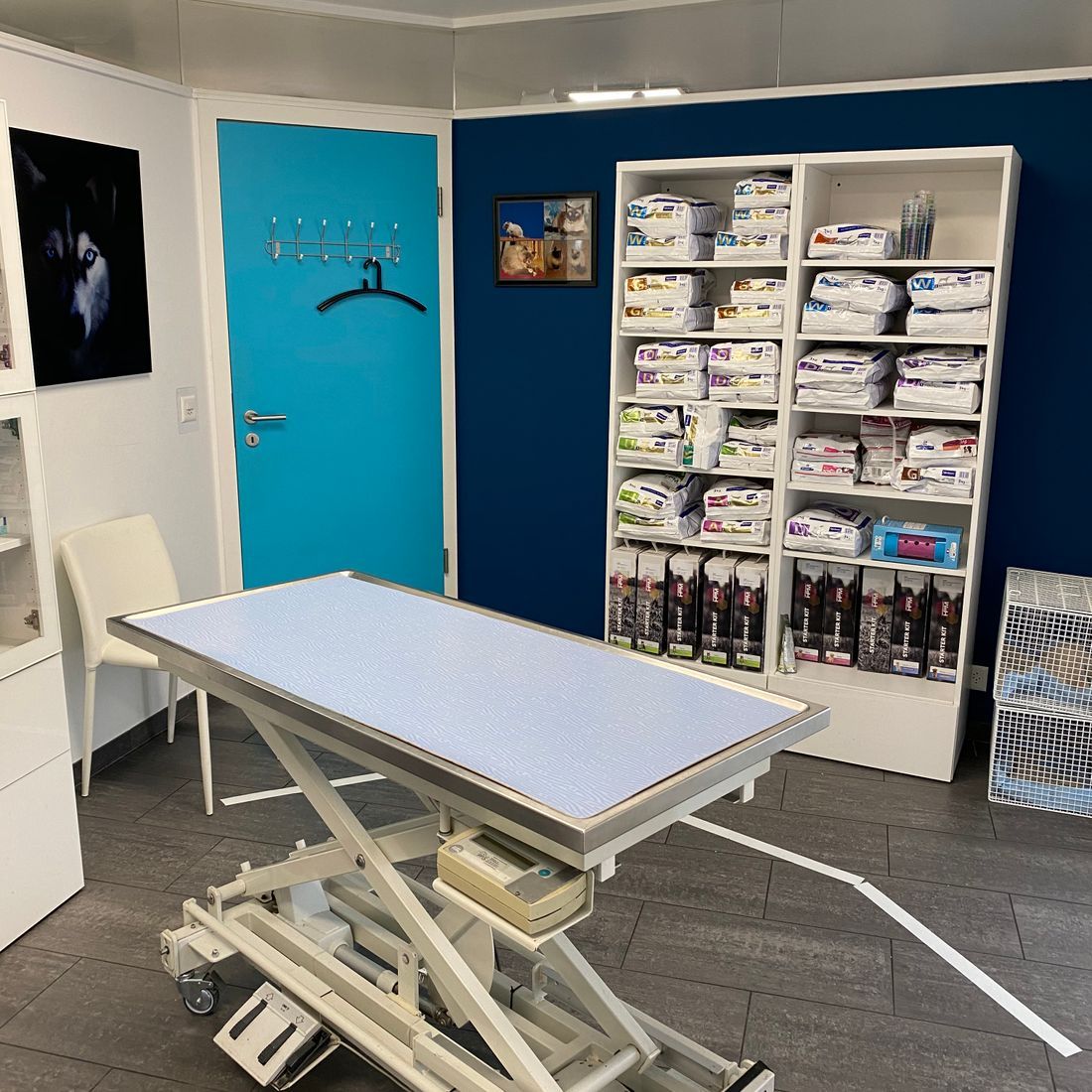 Cabinet vétérinaire du Sorby|Morges