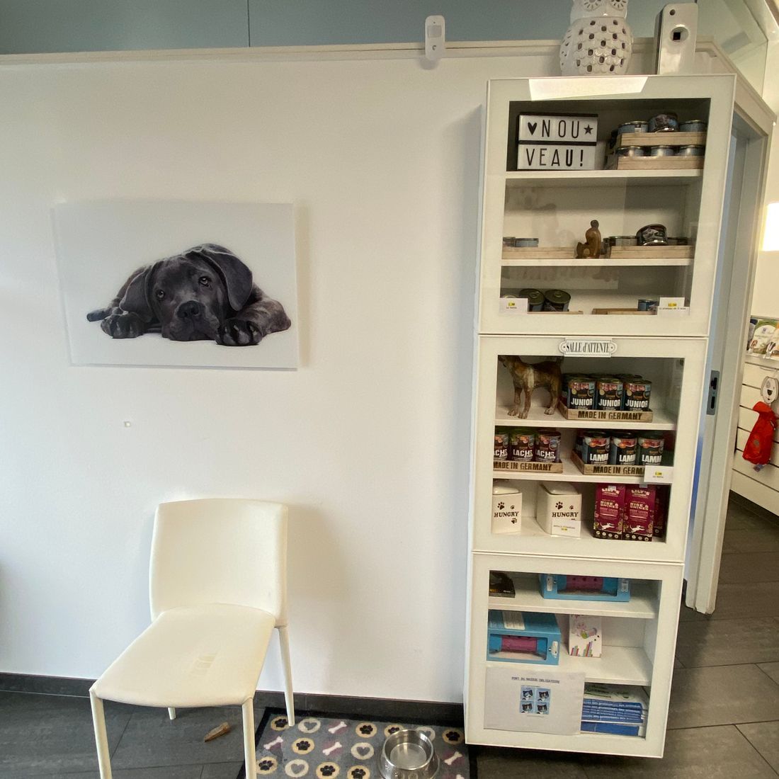 Cabinet vétérinaire du Sorby|Morges