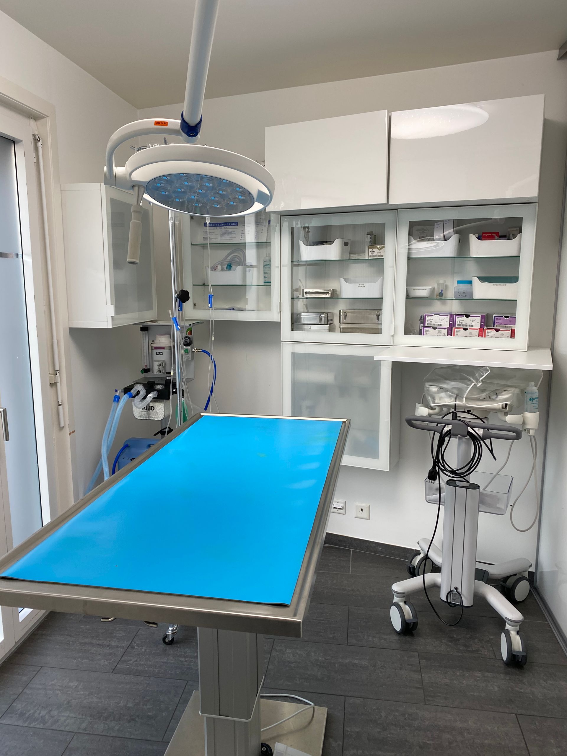 Cabinet vétérinaire du Sorby|Morges