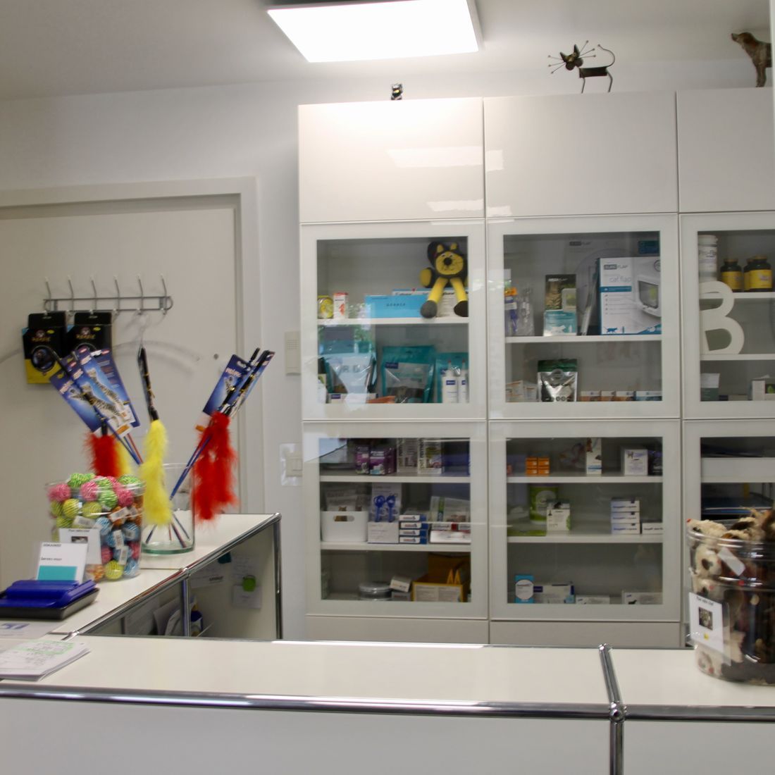 Cabinet vétérinaire du Sorby|Morges