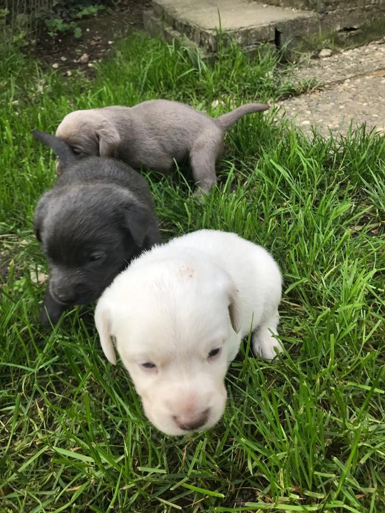 Cabinet vétérinaire du Sorby|Morges