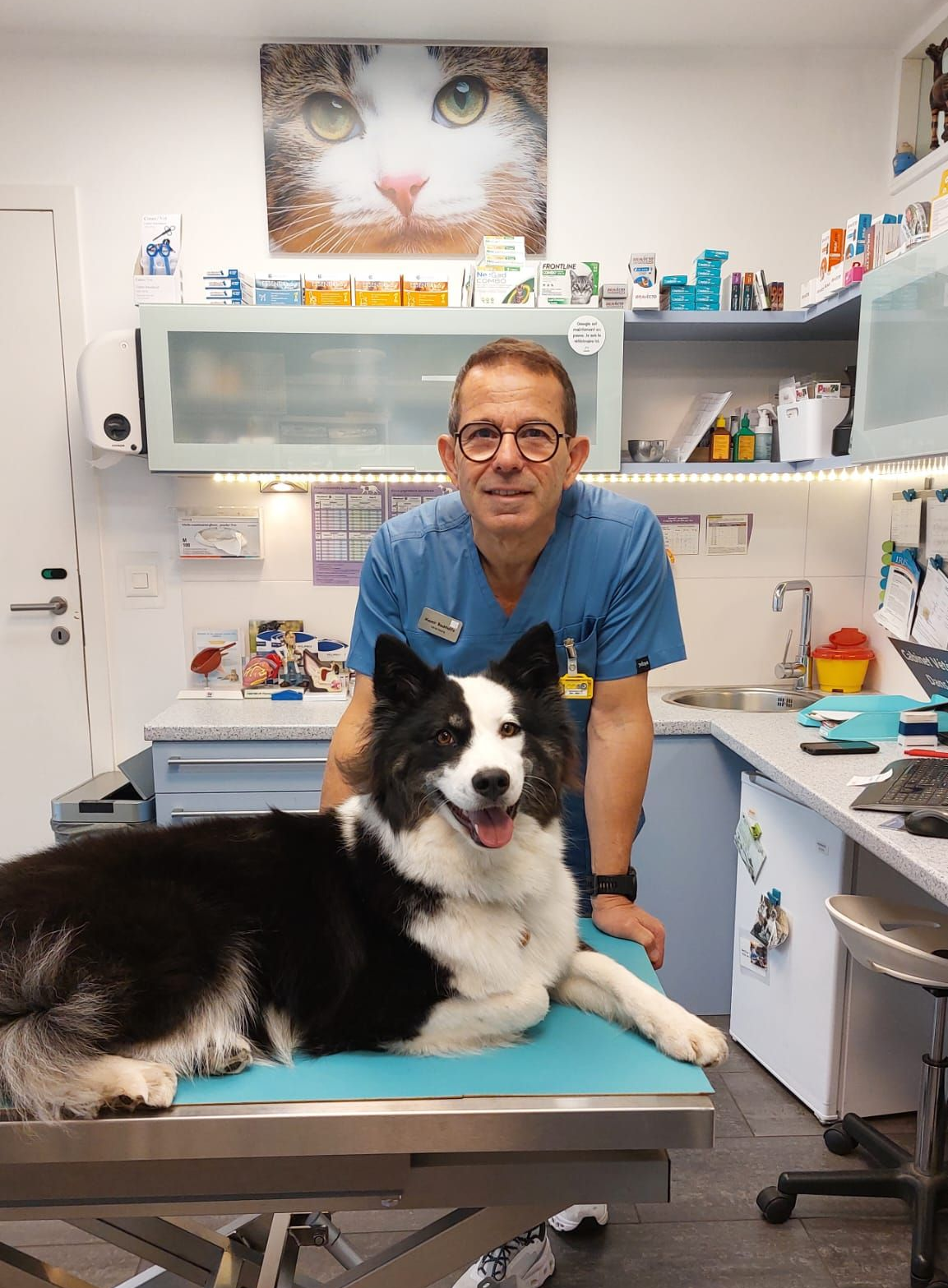 nos-prestations-chats-chiens-nac-cabinet-veterinaire-du-sorby-morges-la-cote-vaud