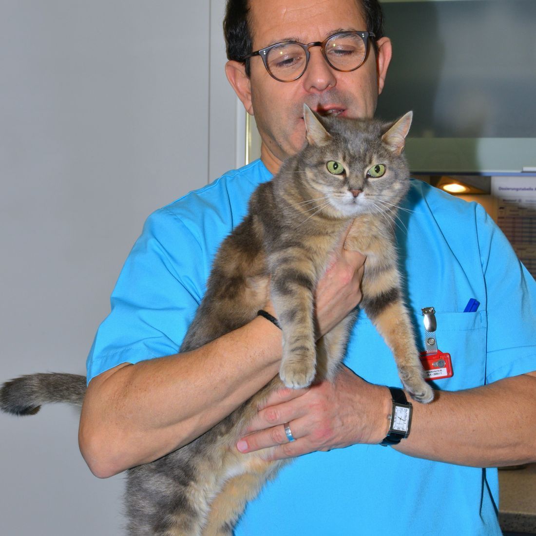 Cabinet vétérinaire du Sorby|Morges