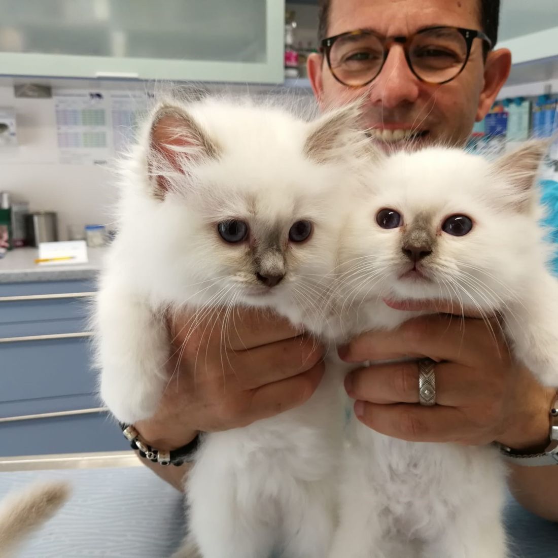 accueil-galerie-photos-cabinet-veterinaire-du-sorby-morges-la-cote-vaud