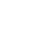 Farbenfrohe Illustration anatomisches Herz mit Blumen Blättern und Linien