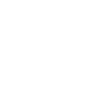 Nahaufnahme farbenprächtiger Kolibri mit schillernd grünen blauen Federn nahe Blume