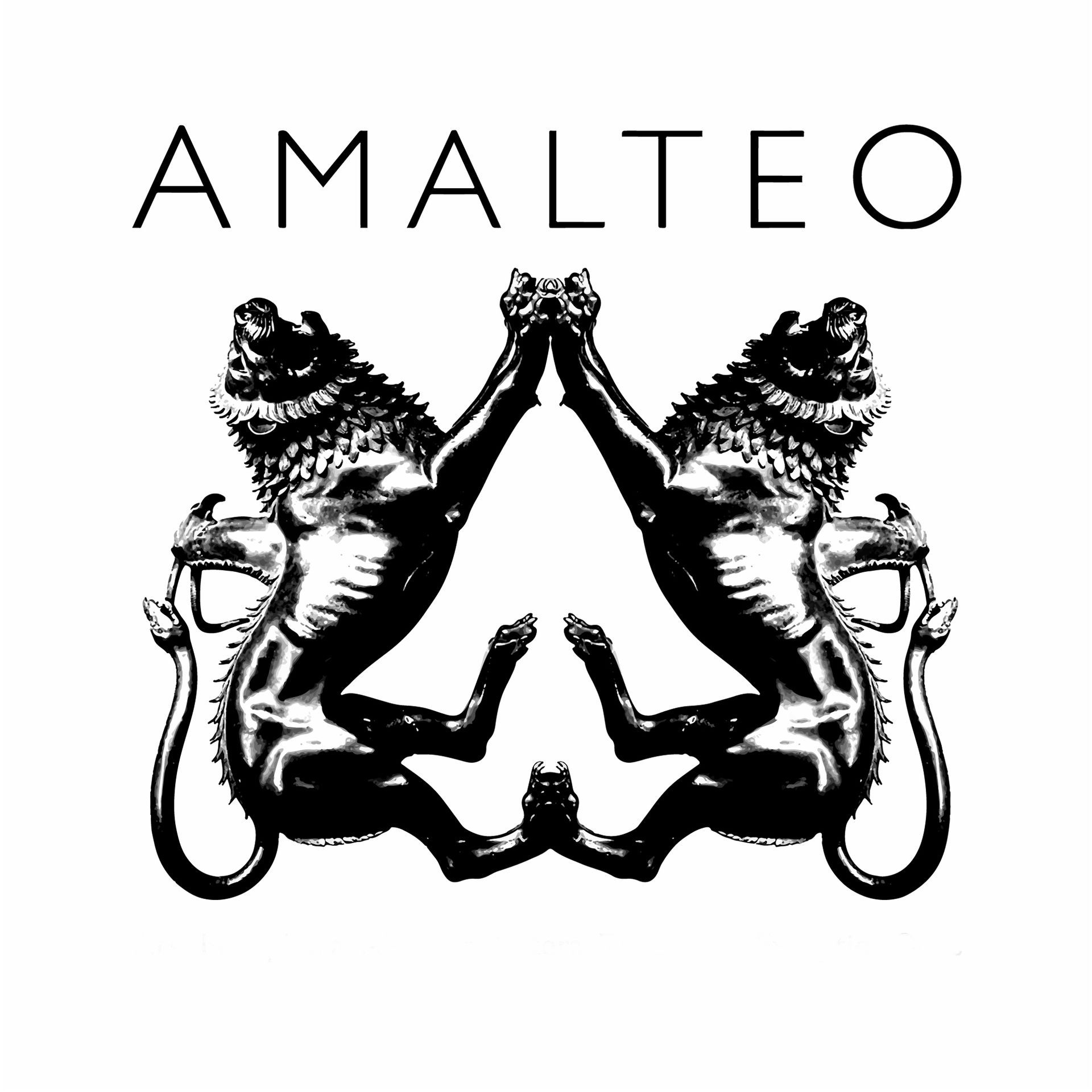 Suite Palazzo Amalteo