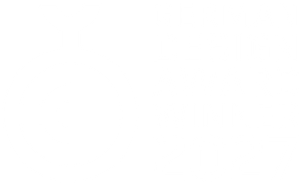 German Design Award Winner 2020