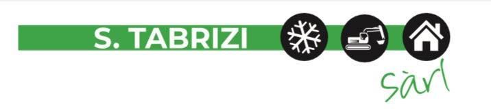 S. Tabrizi logo