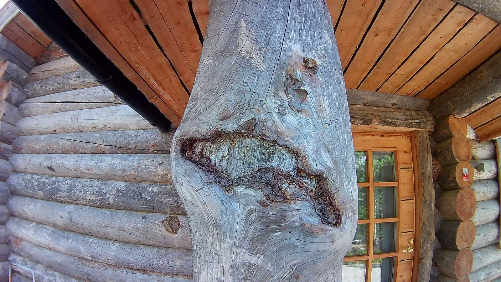 Kelotalot - Kelorakennus Puustinen Oy