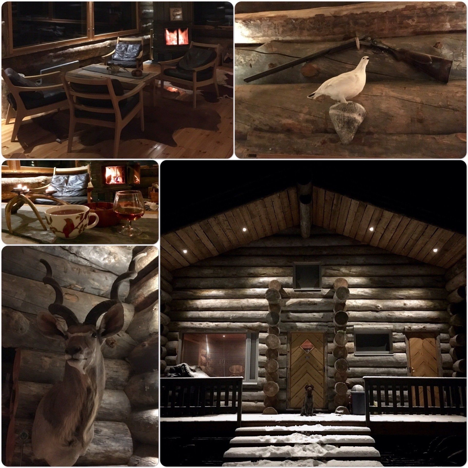 Kelotalot - Kelorakennus Puustinen Oy