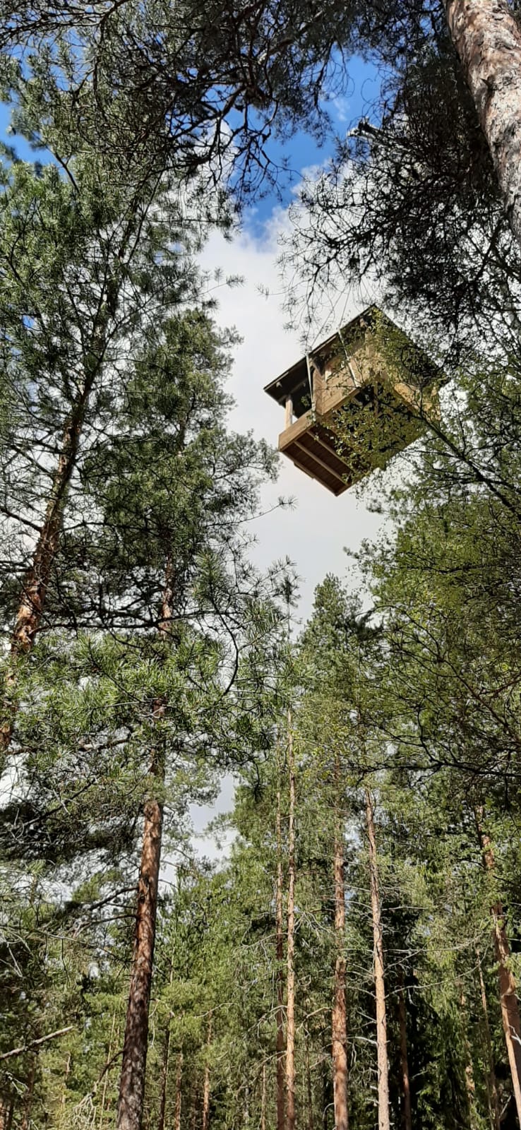 Rakentaminen - Kelorakennus Puustinen Oy