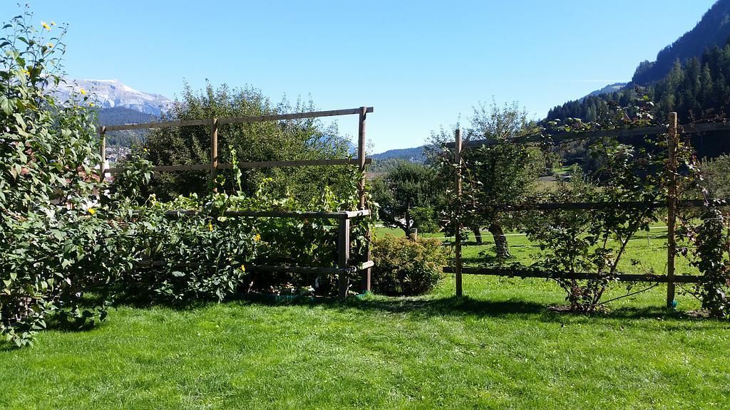 Bepflanzung m. Tomatenhaus