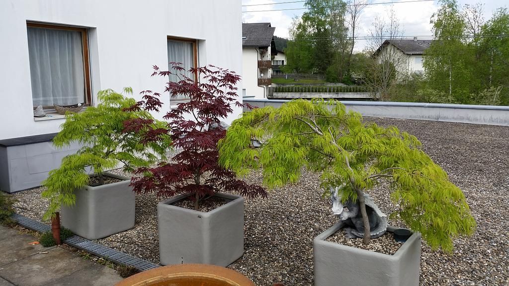 Pflanztröge HF Begrünungsystem Aufbau