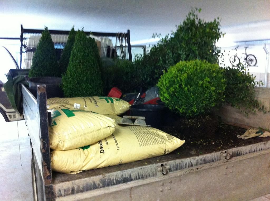 Trogbepflanzung HF System