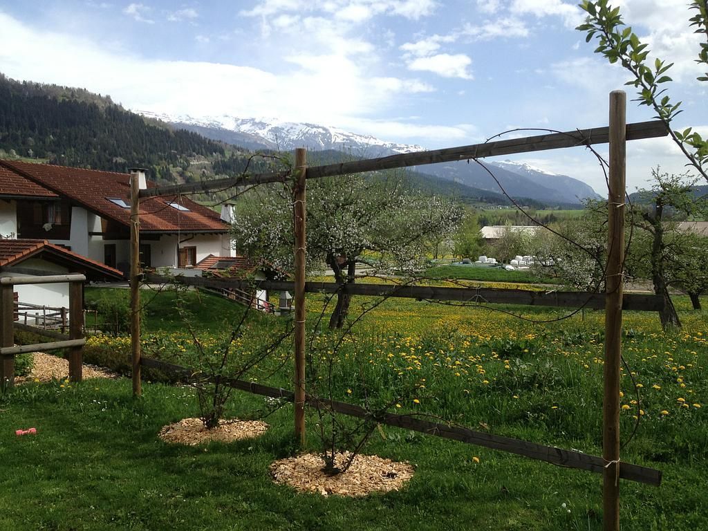 Bepflanzung m. Tomatenhaus