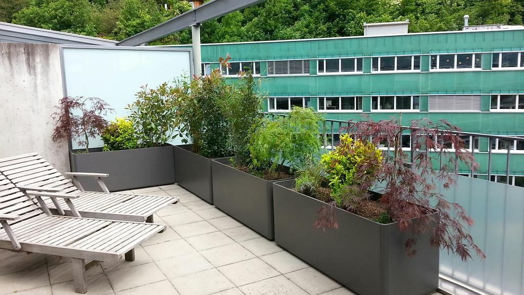 Trogbepflanzung HF System