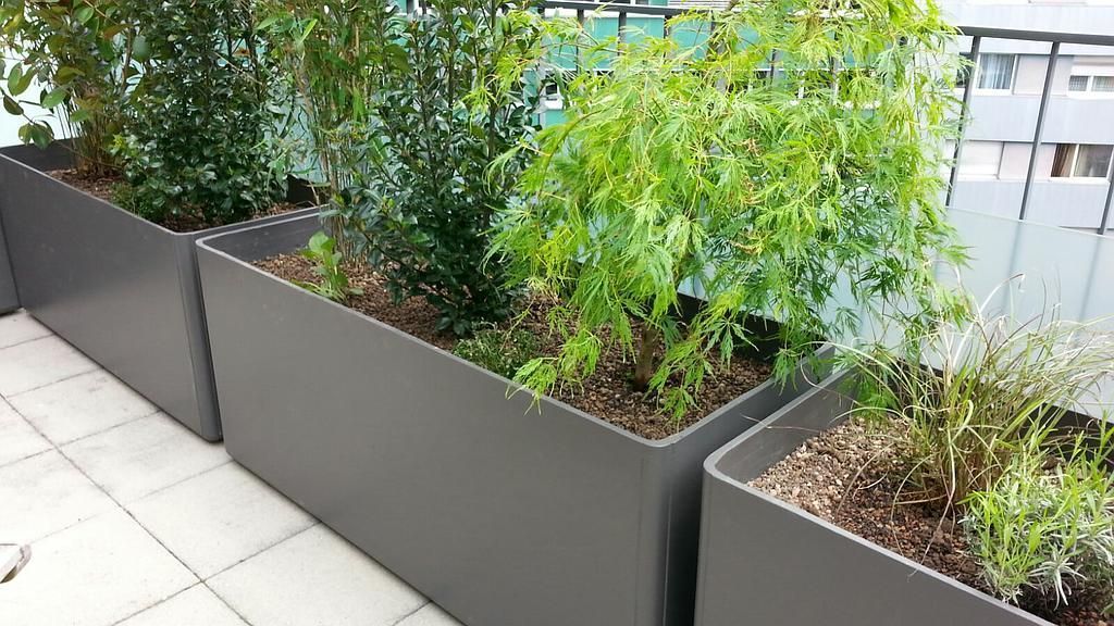 Trogbepflanzung HF System