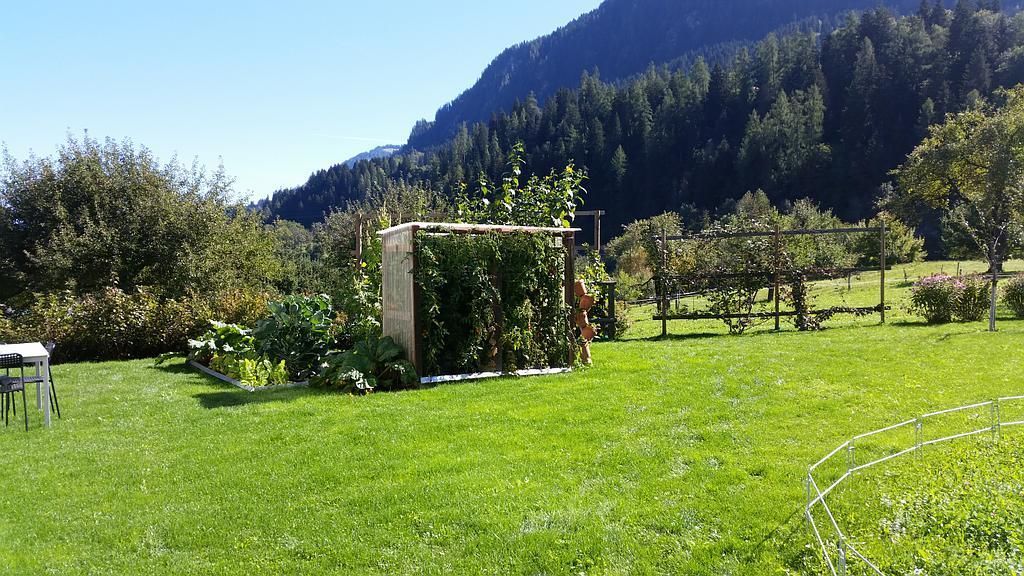 Bepflanzung m. Tomatenhaus