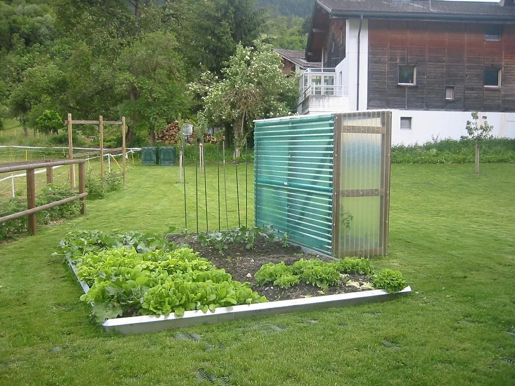 Bepflanzung m. Tomatenhaus