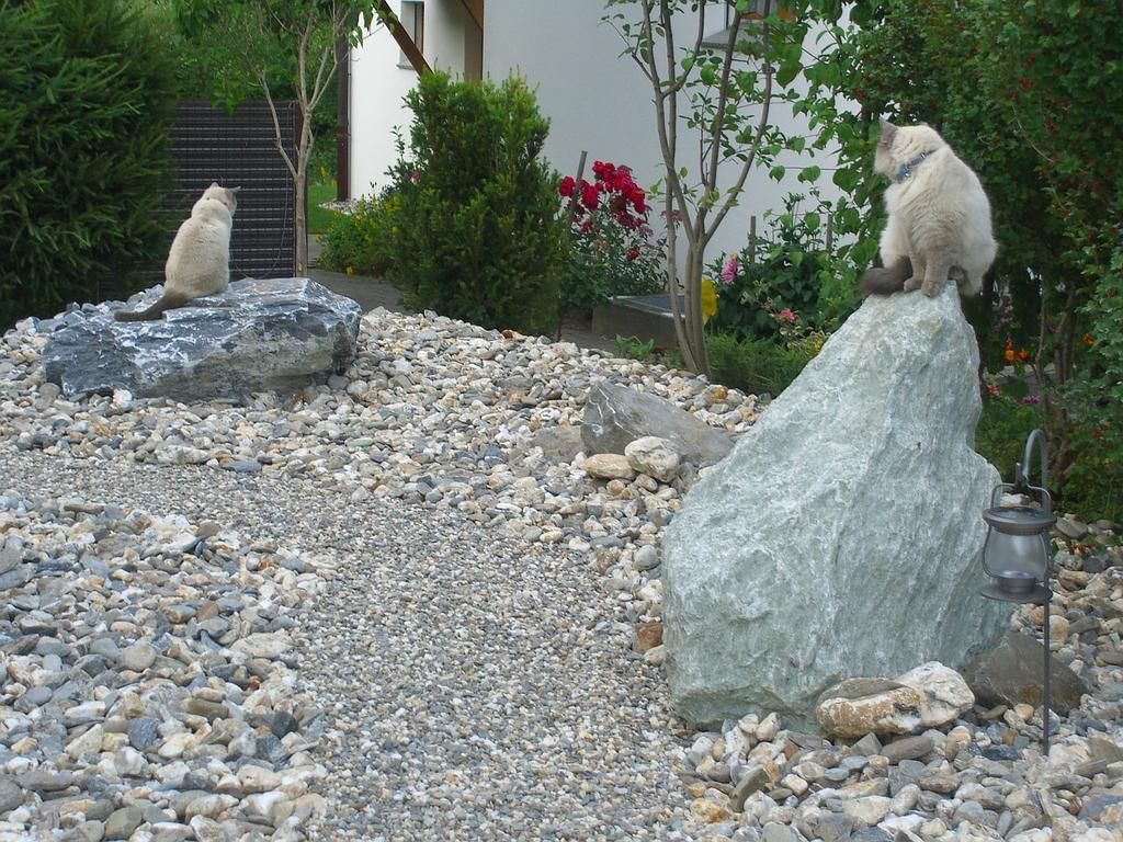 Naturstein Gestaltung