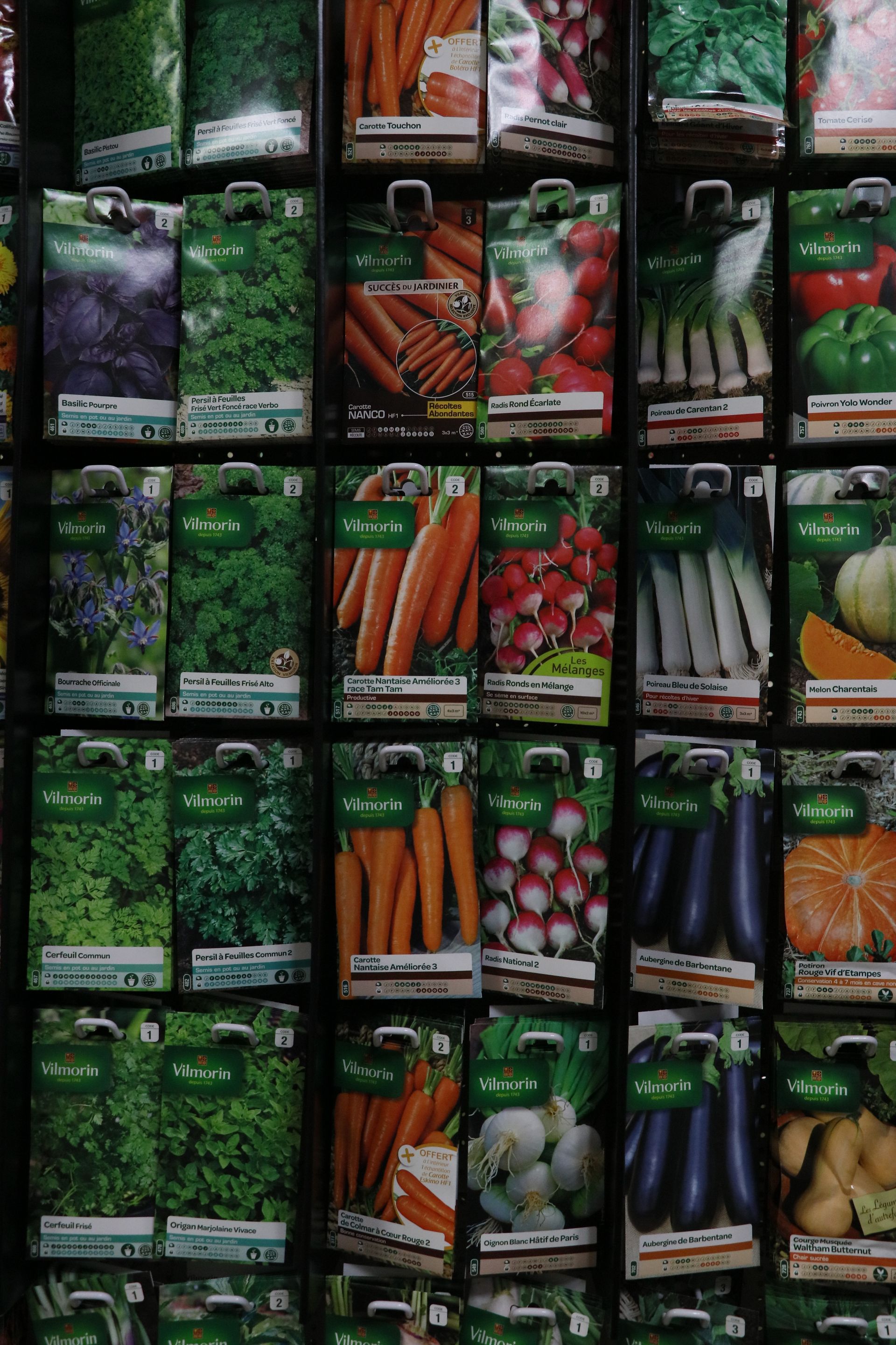 Graine potager Brico Lavaud