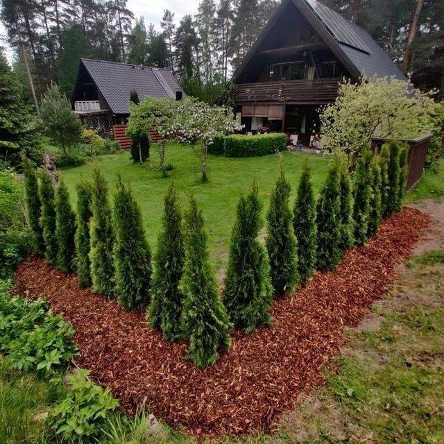 pienkaivuri