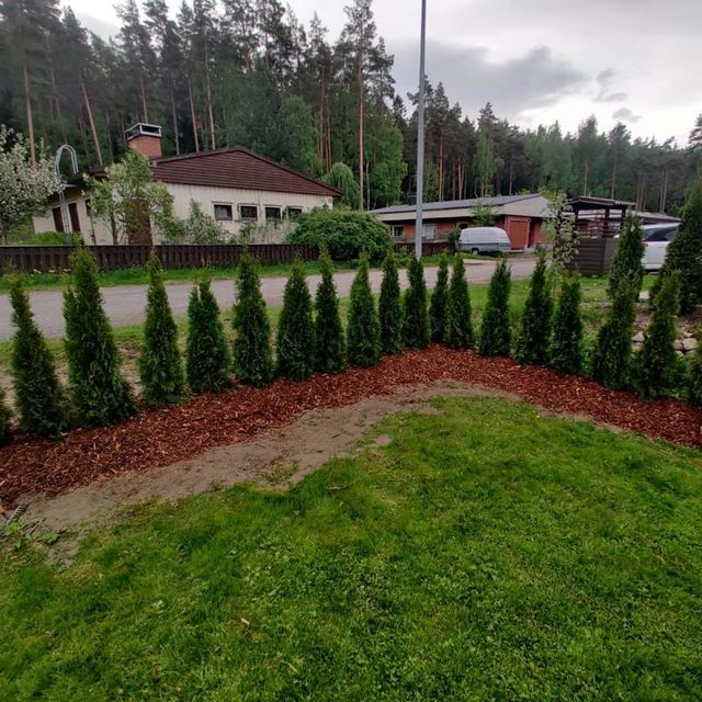 pienkaivuri