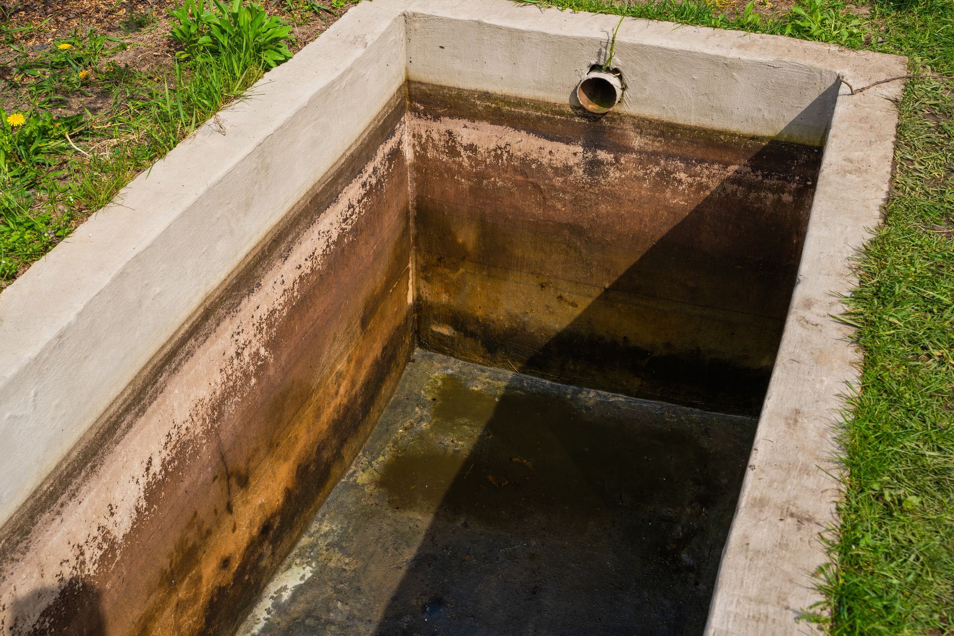 Abreuvoir rectangulaire en béton rempli d'eau sale et de taches sombres, entouré d'herbe.
