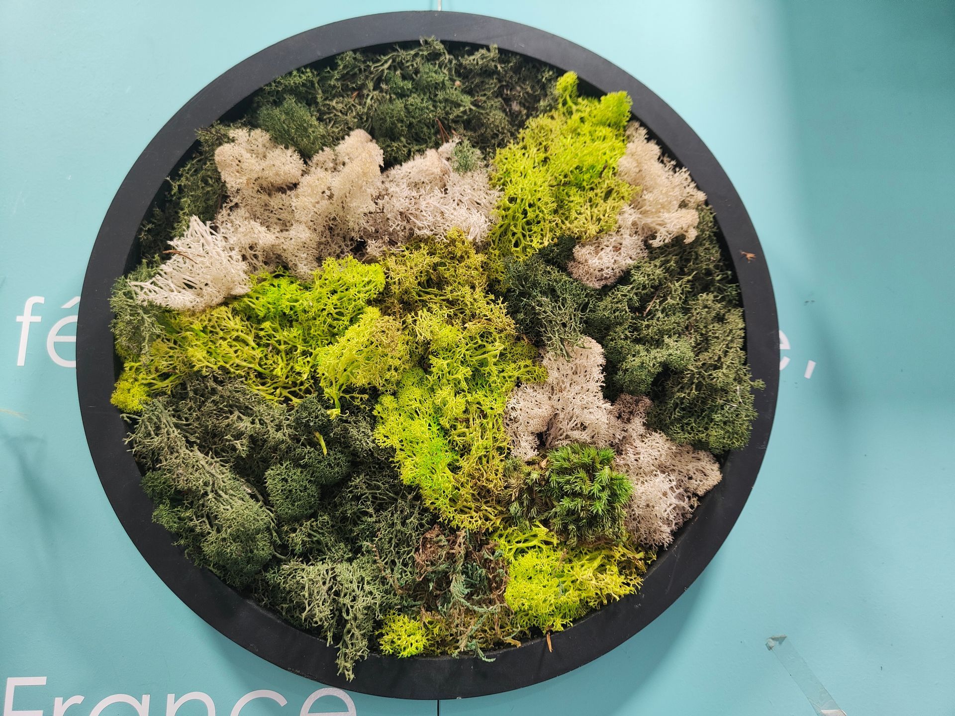 Tableau végétal rond