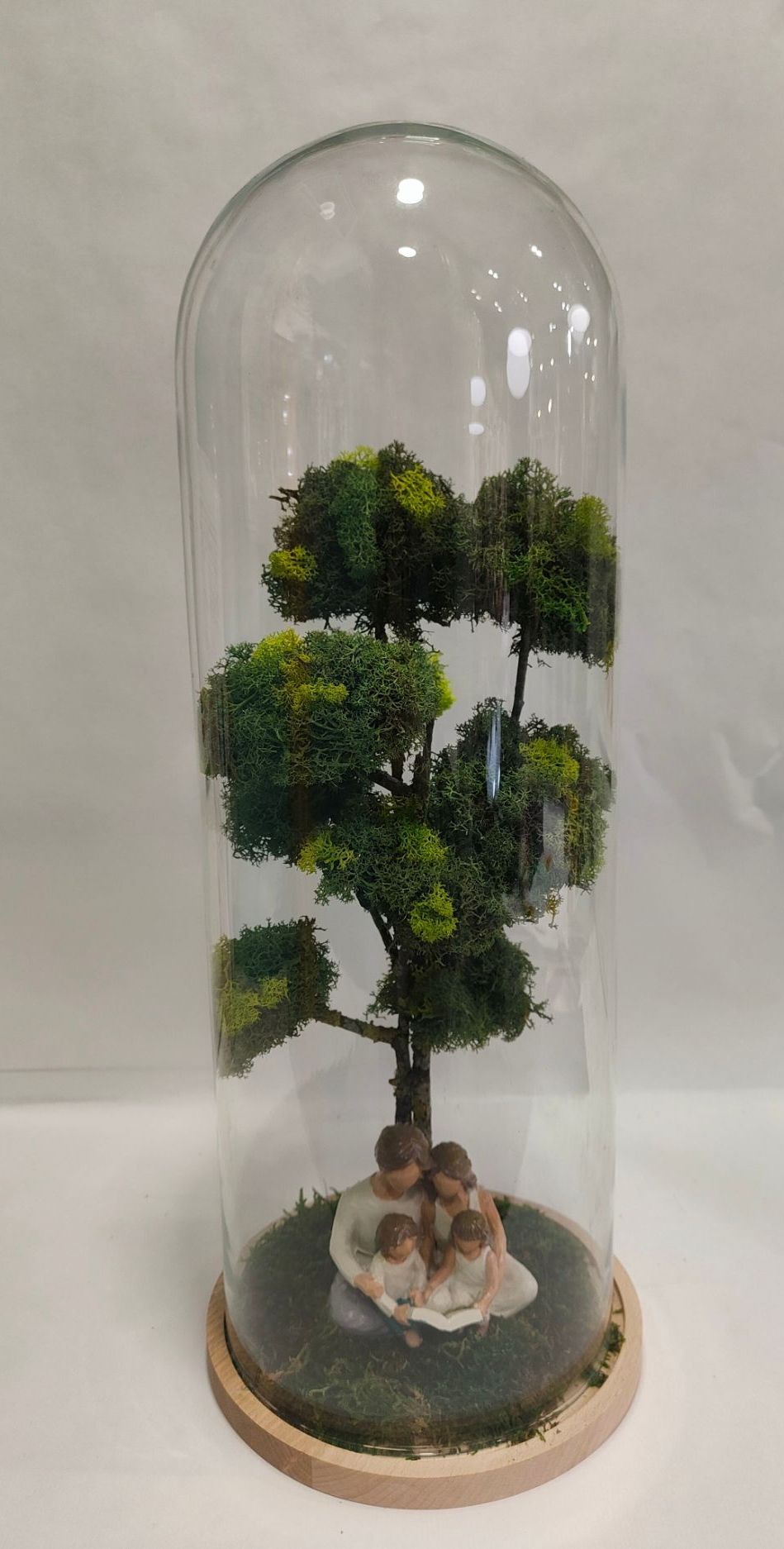 arbre, sous cloche, nouveauté