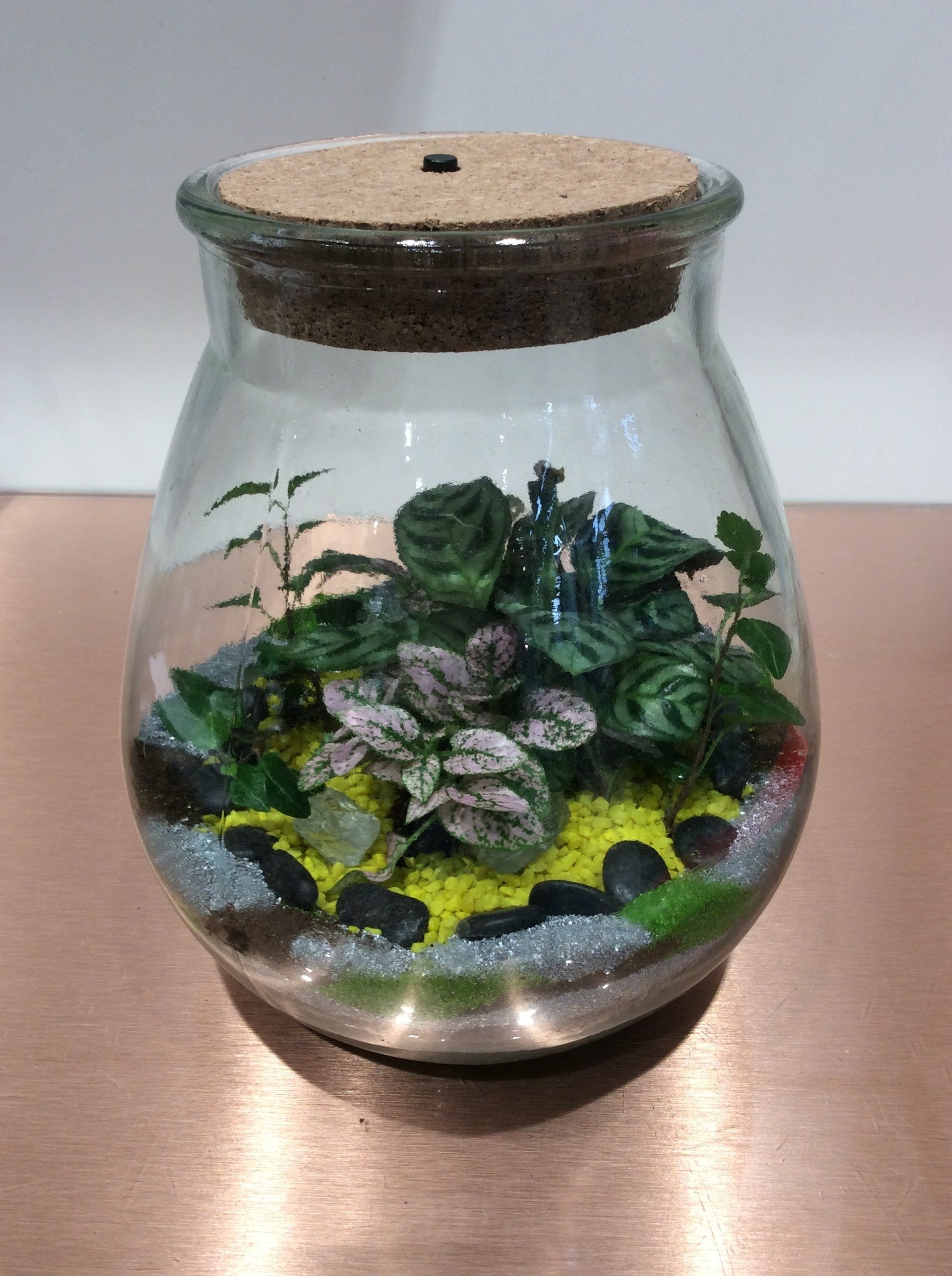 Terrarium fermé