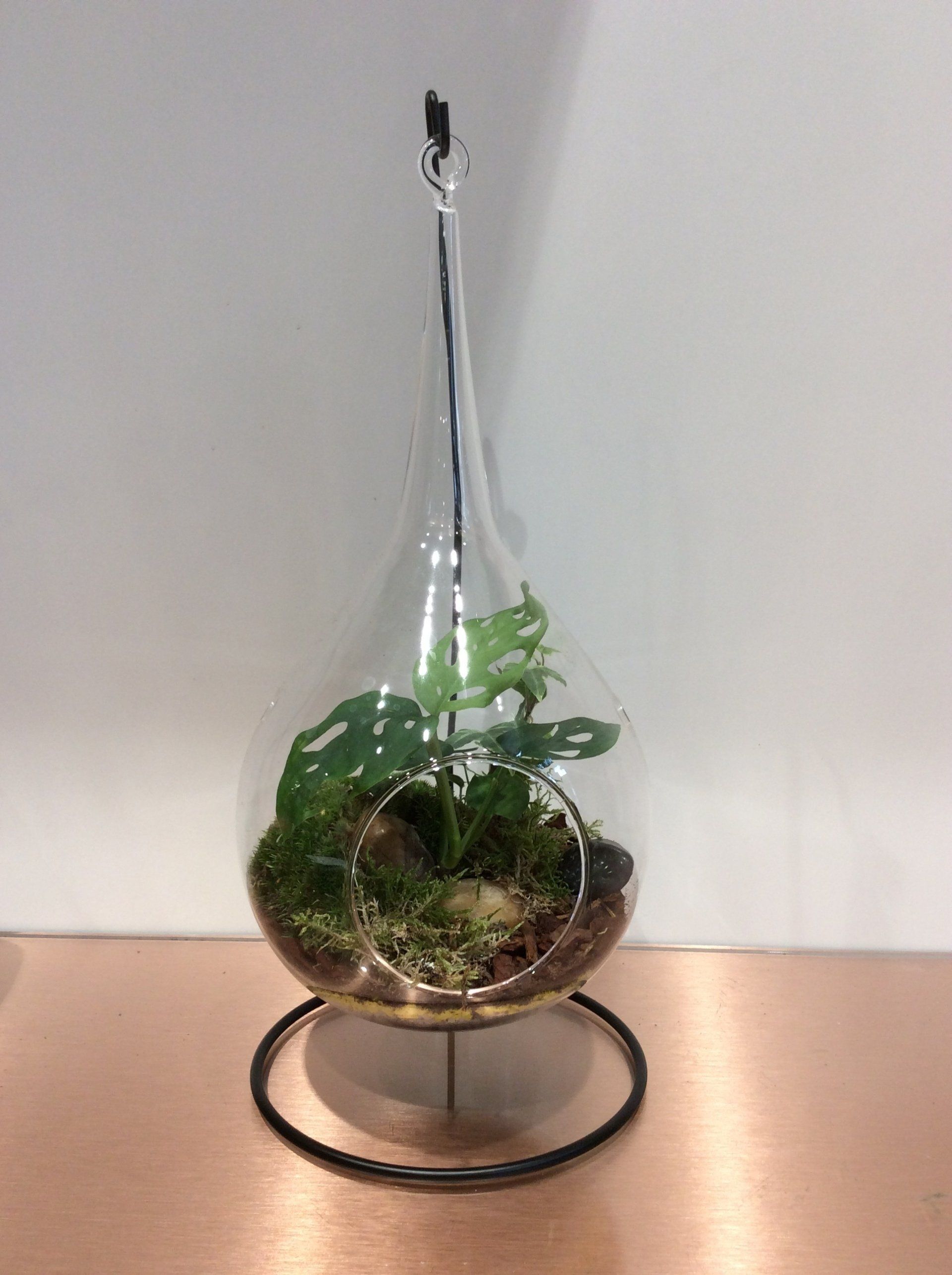 Terrarium semi-ouvert