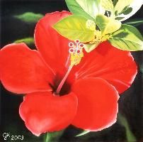 Mein Malort - Gabriela Hamid-Oberholzer