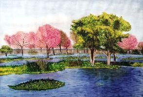 Mein Malort - Gabriela Hamid-Oberholzer