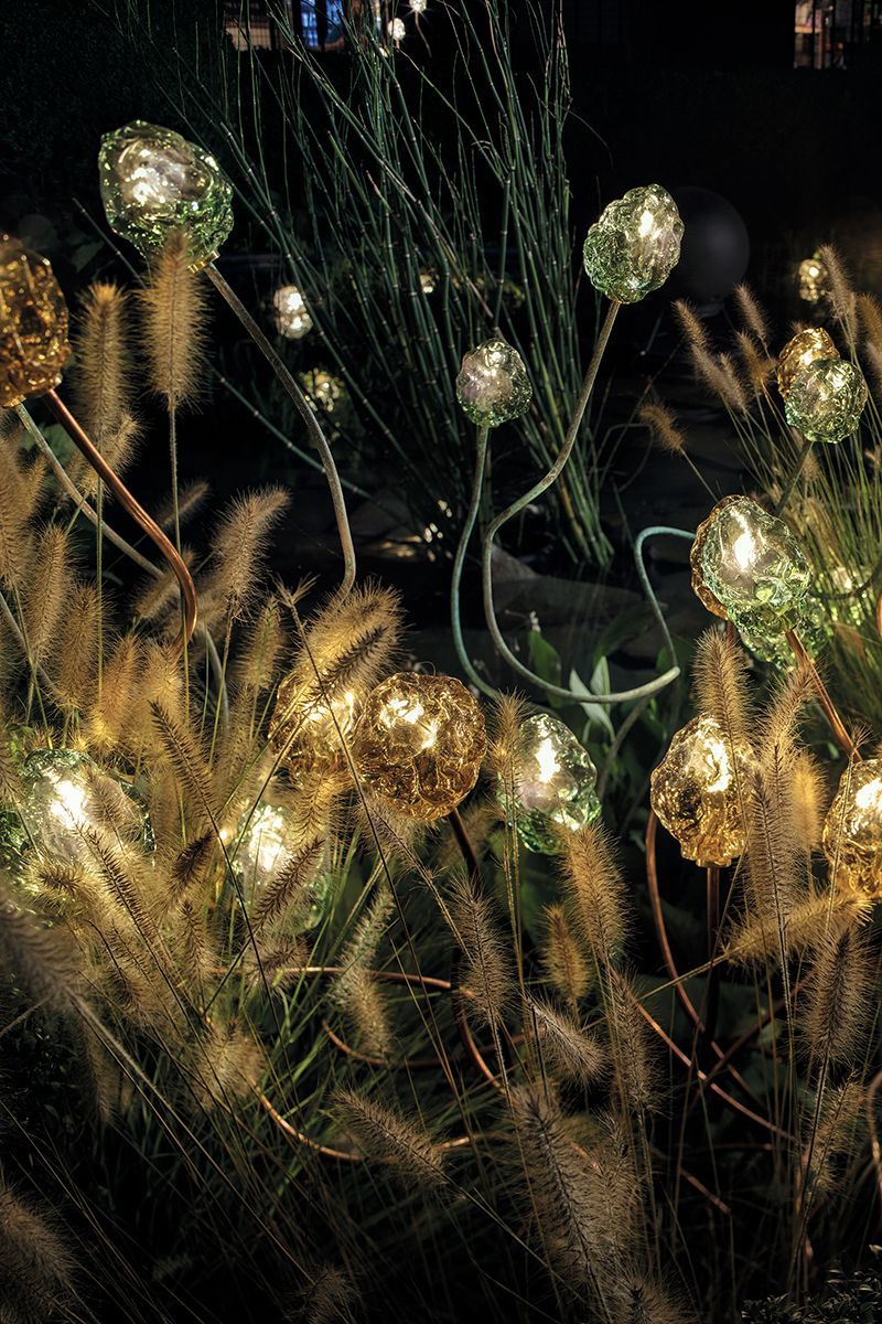 Dekorative Lichter in einem Feld mit hohem Gras, das nachts golden und grün leuchtet.
