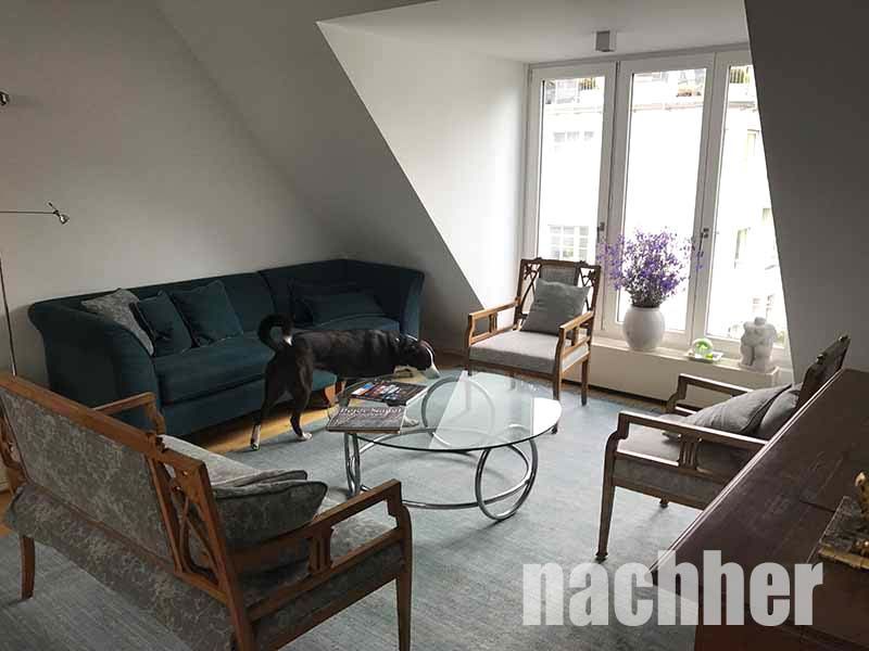 Wohnzimmer mit blaugrünem Sofa, Glastisch, Hund und antiken Stühlen neben einem Fenster mit Blumen.