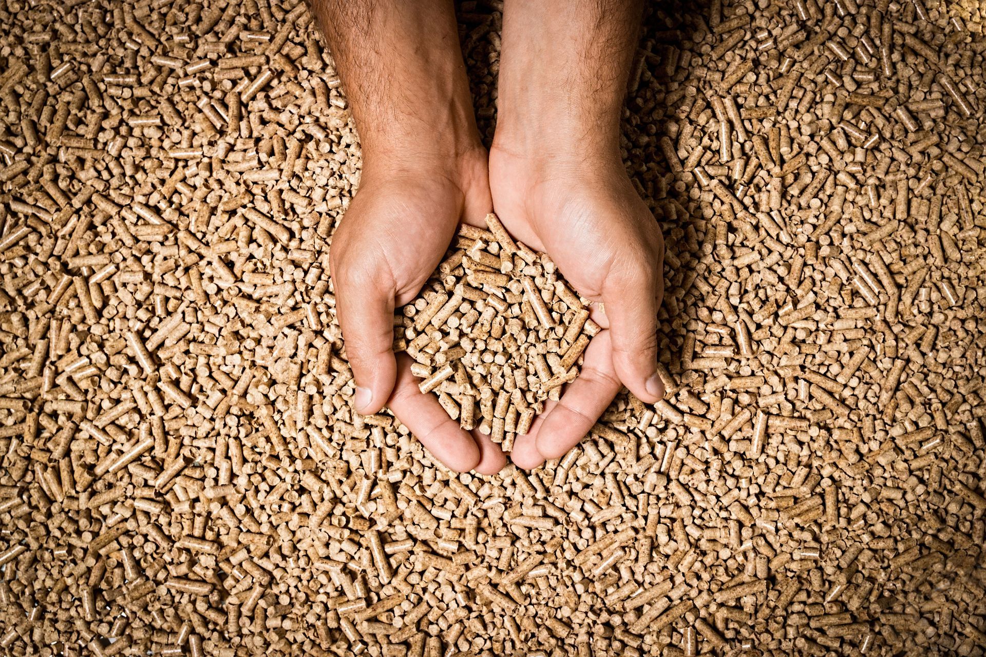 Pellet: alimentation pour cheminée ou chaudière