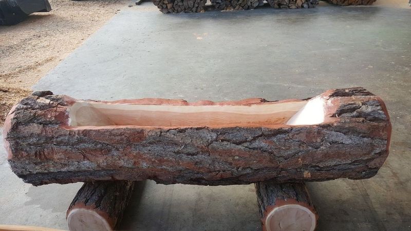 Bassin creusé dans une bûche de bois