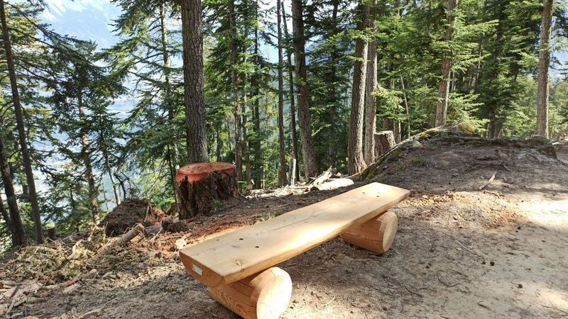 Un banc en bois est assis au milieu d'une forêt.