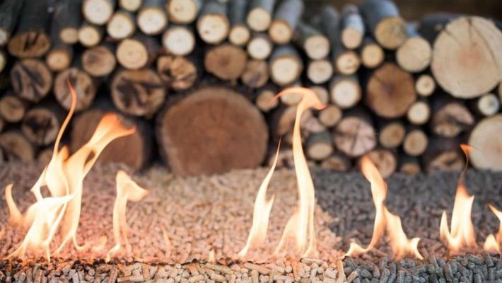 Un tas de bûches et de pellets avec des flammes qui en sortent.