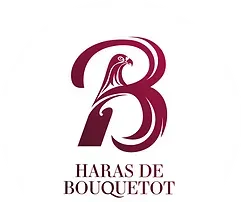 Logo  Haras de Bouquetot